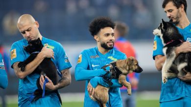 صورة فيديو وصور.. لاعبو زينيت الروسي يحملون كلاب الشوارع بأحد المباريات في واقعة غريبة
