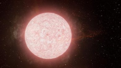 صورة علماء يشاهدون لحظة انفجار نجم أحمر عملاق لأول مرة