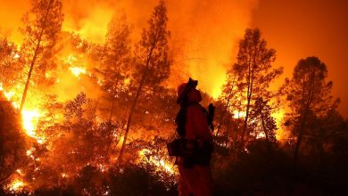 صورة حريق غابات هائل على مساحة 1500 فدان في كاليفورنيا رغم حلول الشتاء