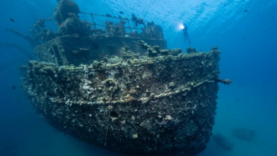 صورة صور.. اكتشاف حطام سفينة غارقة في البحر الأحمر بالسعودية تُشبه “تايتنك”