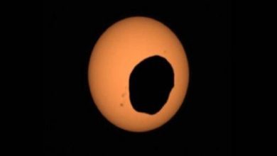 صورة وكالة ناسا تنشر فيديو مذهلاً يظهر كسوف الشمس من سطح المريخ