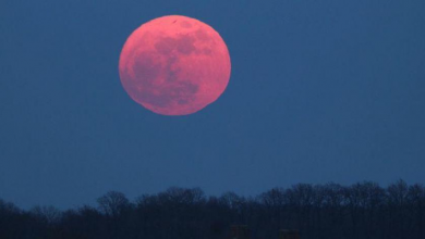 صورة تعرف على القمر الوردي الذي يظهر في شهر إبريل من كل عام