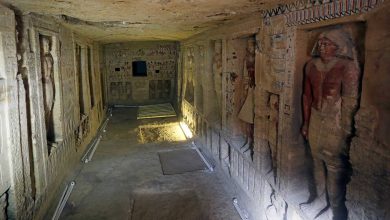 صورة لماذا لا توجد حشرات داخل المعابد الفرعونية؟