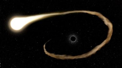 صورة رصد اللحظات الأخيرة لابتلاع ثقب أسود لنجم في الفضاء