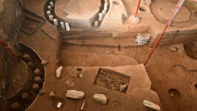 صورة اكتشاف بقايا منازل يرجع تاريخها إلى حوالي 6000 عام بوسط الصين