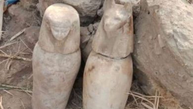 صورة بالصدفة.. العثور على 4 قطع أثرية في جنوب مصر