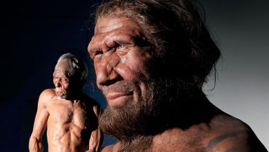 صورة دراسة تكشف.. “الجنس” البشري نشأ في أفريقيا قبل نحو 300 ألف عام