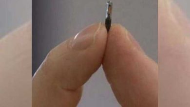صورة على طريقة فيلم “اللمبي 8 جيجا”.. ابتكار 5 شرائح إلكترونية تُزرع في الجسم