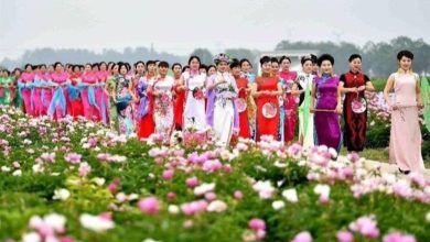 صورة مكافأة للأزواج في الصين