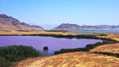 صورة ما هي “البحيرة البنفسجية” التي أثارت الجدل في العراق؟