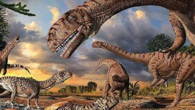 صورة علماء يفجرون مفاجأة حول سبب اختفاء الديناصورات