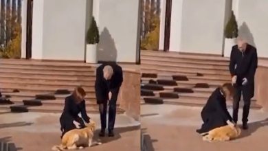 صورة شاهد.. كلب يُهاجم رئيس دولة أوروبية
