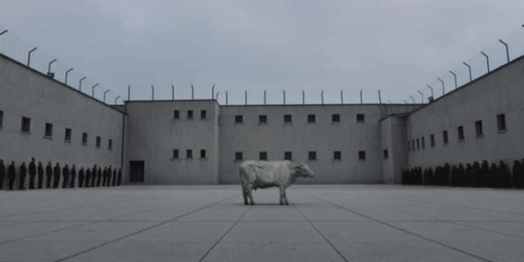 صورة فيلم “Ballad of a White Cow”.. الممنوع من العرض