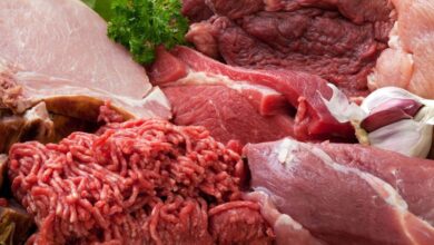صورة “بديل اللحوم” يغزو “السوشيال ميديا”.. وخبير: “تسبب الأمراض”