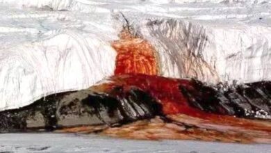صورة ما هي “شلالات الدم الحمراء” في القطب الجنوبي؟