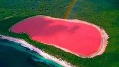صورة 6 معلومات عن “البحيرة الوردية” في أستراليا