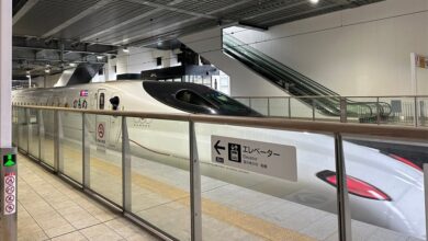 صورة ثعبان يعطّل حركة قطار فائق السرعة في اليابان