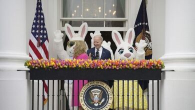 صورة شاهد.. “أرنب” يقتحم مؤتمرًا صحفيًا في “البيت الأبيض”
