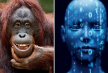 صورة البشر يقتربون من محادثة الحيوانات باستخدام الذكاء الاصطناعي