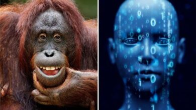 صورة البشر يقتربون من محادثة الحيوانات باستخدام الذكاء الاصطناعي