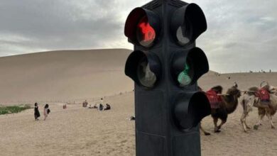 صورة الصين تضع إشارات مرور فى الصحراء.. تعرف على السبب