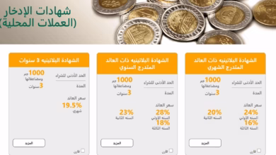 صورة شهادات الادخار “البنك الأهلي” تواصل تصدّر اهتمامات المصريين في 2025