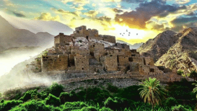 الهجرة إلى "كندا" عبر برامج "العمال المهرة".. الخطوات والتكلفة