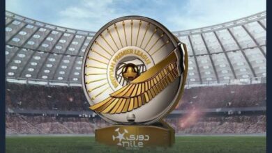 صورة حملة جماهيرية تطالب بإلغاء الهبوط في الدوري المصري تشهد تفاعلًا كبيرًا
