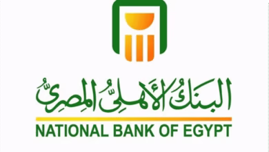 صورة خدمة “Ahly Net” تتصدر التريند في مصر 2025 بتحديثاتها الجديدة