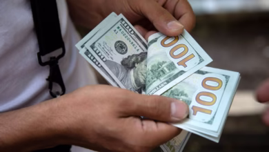صورة “سعر الدولار” اليوم في مصر.. استقرار نسبي وسط ترقّب الأسواق