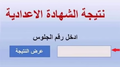 صورة “نتيجة الشهادة الإعدادية محافظة الدقهلية 2025”.. استعلم الآن بالاسم ورقم الجلوس