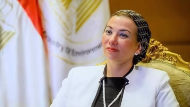 صورة استقالة وزيرة البيئة ياسمين فؤاد.. خطوة تمهّد لمنصب أممي رفيع