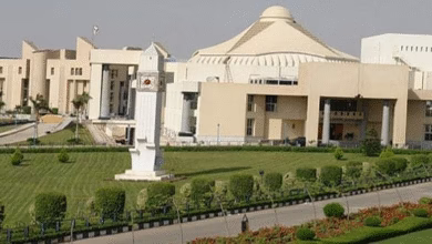صورة مصاريف جامعة مصر للعلوم والتكنولوجيا 2025‑2026 وأهم التخصصات المعتمدة