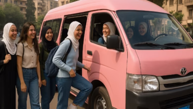 صورة “الميكروباص الوردي”.. مبادرة جديدة للنقل الآمن للفتيات في شوارع مصر