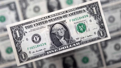 صورة تعرف على سعر الدولار في مصر اليوم الأحد 31 – 8 – 2025.. تراجع مفاجئ