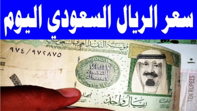 صورة سعر الريال السعودي اليوم في مصر.. بيانات من البنك المركزي والبنوك الكبرى