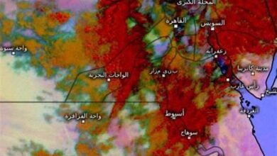 صورة حالة “الطقس اليوم”.. درجات الحرارة وأحوال الجو في محافظات مصر