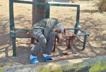 صورة مات الأب وتخلى عنها الأشقاء.. وفاة سورية في حديقة حلب تثير عاصفة حزن
