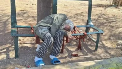 صورة مات الأب وتخلى عنها الأشقاء.. وفاة سورية في حديقة حلب تثير عاصفة حزن