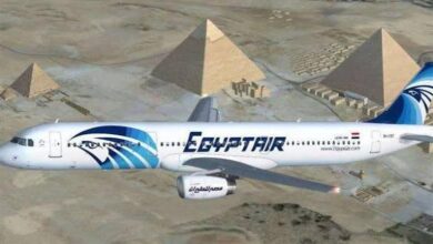 صورة “مصر للطيران تفاجئ الجميع.. أكبر حملة إعدام للبضائع المهملة”