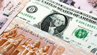 صورة “سعر الدولار اليوم أمام الجنيه المصري.. استقرار حذر يسبق موجة جديدة”