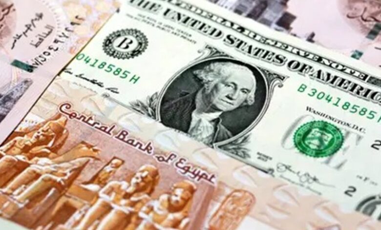 "سعر الدولار اليوم أمام الجنيه المصري.. استقرار حذر يسبق موجة جديدة"