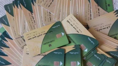 صورة “مصر الرقمية تُطلق خدمات جديدة للتموين.. إضافة المواليد وتحديث البطاقات خطوة بخطوة”