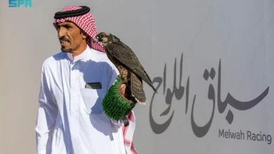صورة انطلاق أول أشواط سباق الملواح بمعرض الصقور والصيد السعودي الدولي 2025