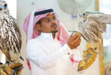 صورة تربية الصقور في السعودية.. بين الموروث الثقافي والعائد الاقتصادي