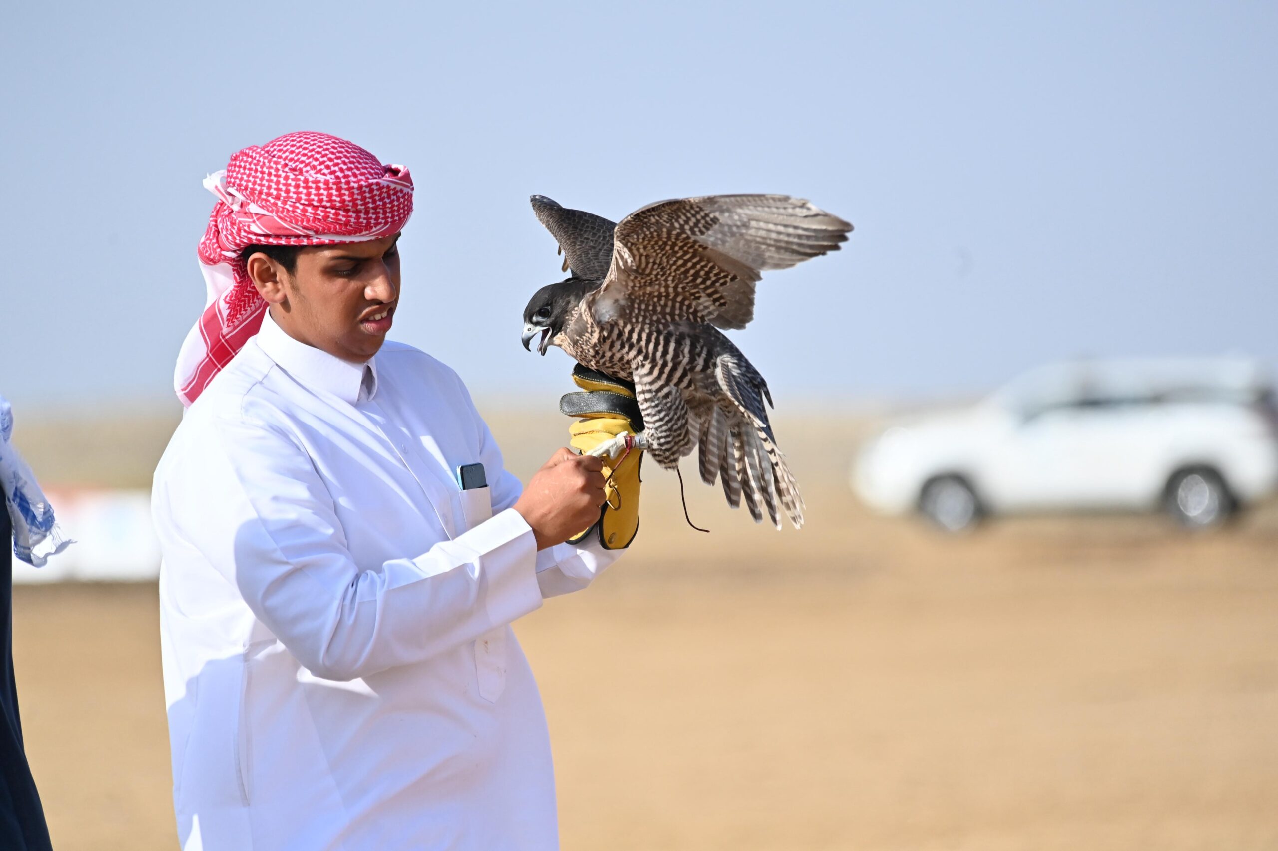 موسم الصقور في جازان.. إرثٌ متجددٌ يحفظ الهوية ويعزز الاقتصاد