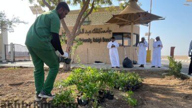 1000 شتلة في جامعة الملك عبدالعزيز ضمن مبادرات "بيئة جدة" لتعزيز الاستدامة