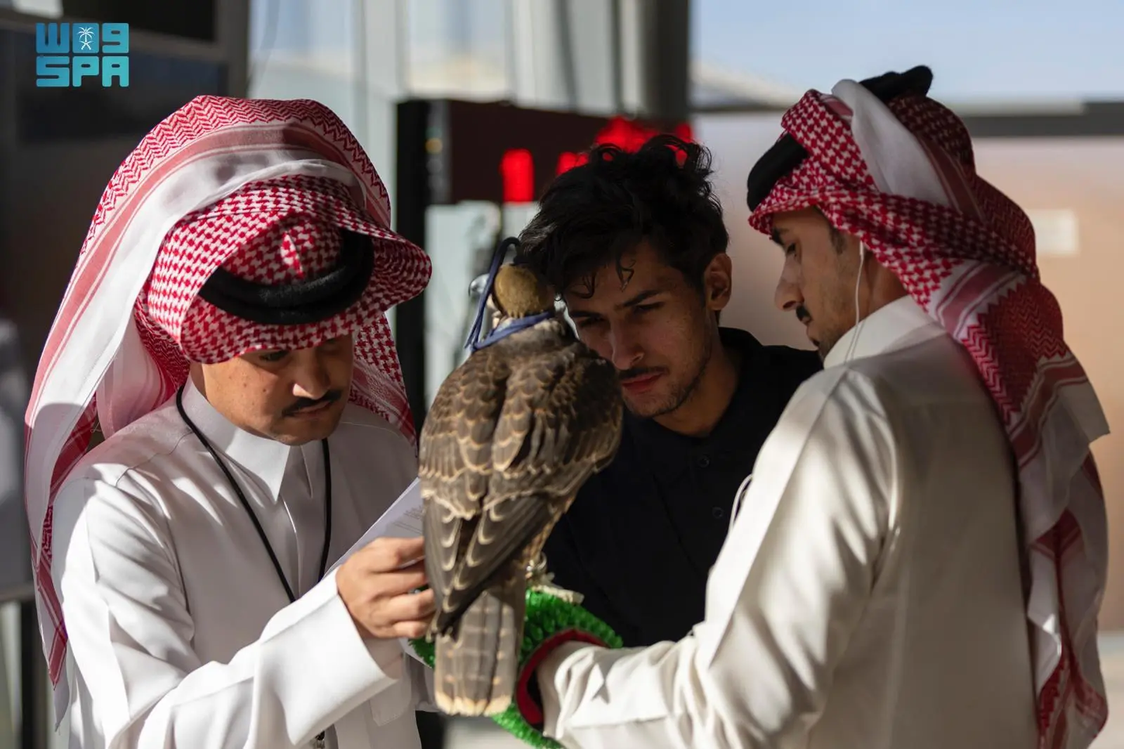 انطلاق أول أشواط سباق الملواح بمعرض الصقور والصيد السعودي الدولي 2025