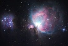 صورة سديم “الجبار” يزين سماء رفحاء في مشهد فلكي بديع يوثق ولادة النجوم