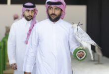صورة كرنفال الصقارين يشتعل في الخبر.. منافسات الهواة تتصدر مشهد كأس نادي الصقور السعودي 2025
